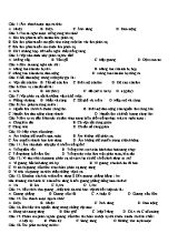 Đề cương ôn thi môn Vật lý 7